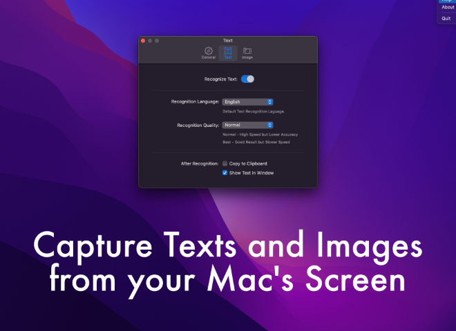 Capture Text (OCR) and Graphics